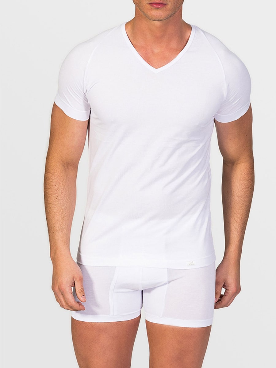Нижняя рубашка zd ZERO DEFECTS V-Neck T-Shirt Egiptian Cotton, белый
Нижняя рубашка zd ZERO DEFECTS V-Neck T-Shirt Egiptian Cotton, белый