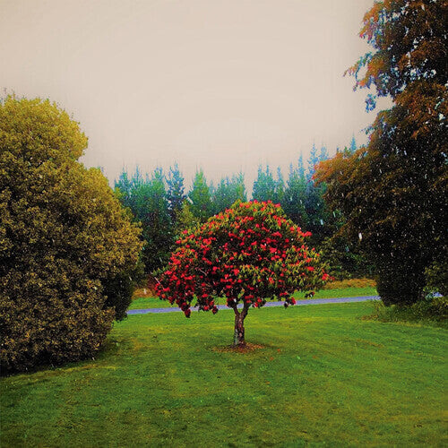 CD диск Bats: Foothills
CD диск Bats: Foothills