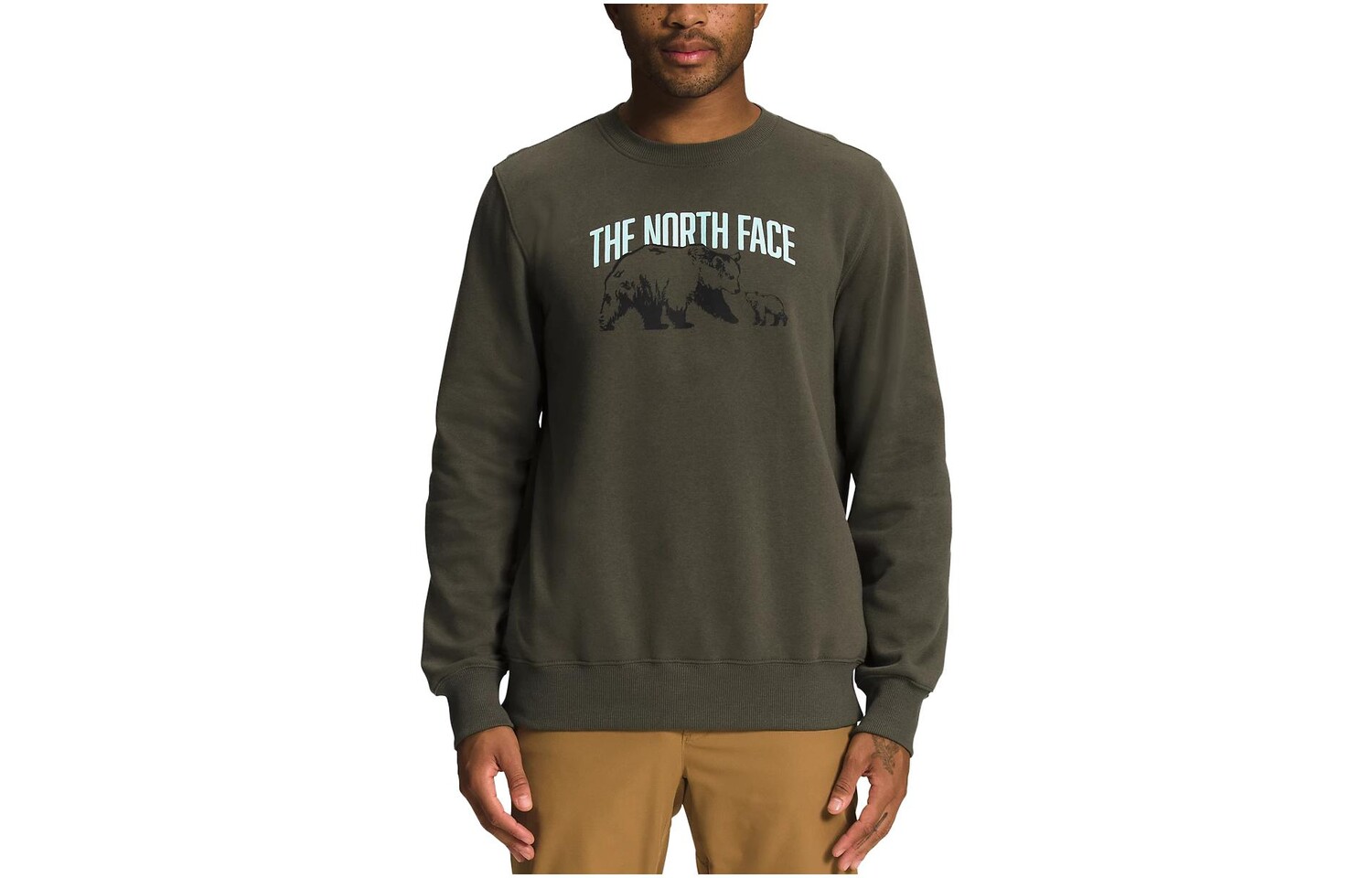 Толстовка мужская темного цвета The North Face, цвет Dark Color
Толстовка мужская темного цвета The North Face, цвет Dark Color