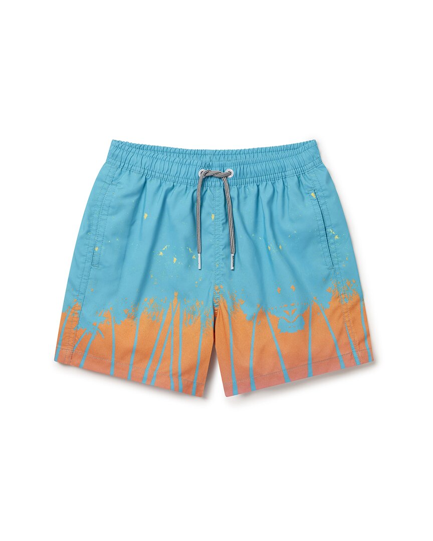 Шорты для плавания Boardies Cali Boardies, мультиколор
Шорты для плавания Boardies Cali Boardies, мультиколор