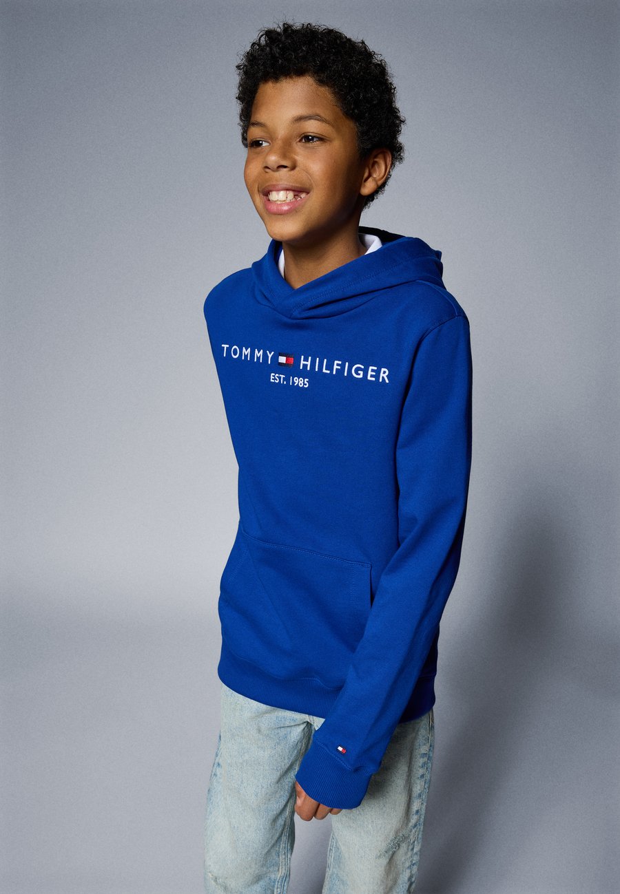 Худи Tommy Hilfiger ESSENTIAL, Wedge Blue/Blue
Худи Tommy Hilfiger ESSENTIAL, Wedge Blue/Blue