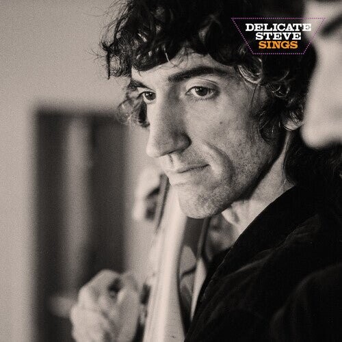 Виниловая пластинка Delicate Steve - Delicate Steve Sings 
Виниловая пластинка Delicate Steve - Delicate Steve Sings