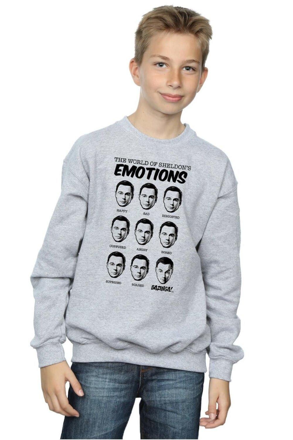 Толстовка Sheldon Emotions The Big Bang Theory, серый
Толстовка Sheldon Emotions The Big Bang Theory, серый