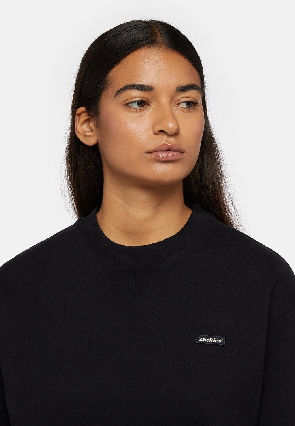 Толстовка CLANCY Dickies, черный
Толстовка CLANCY Dickies, черный