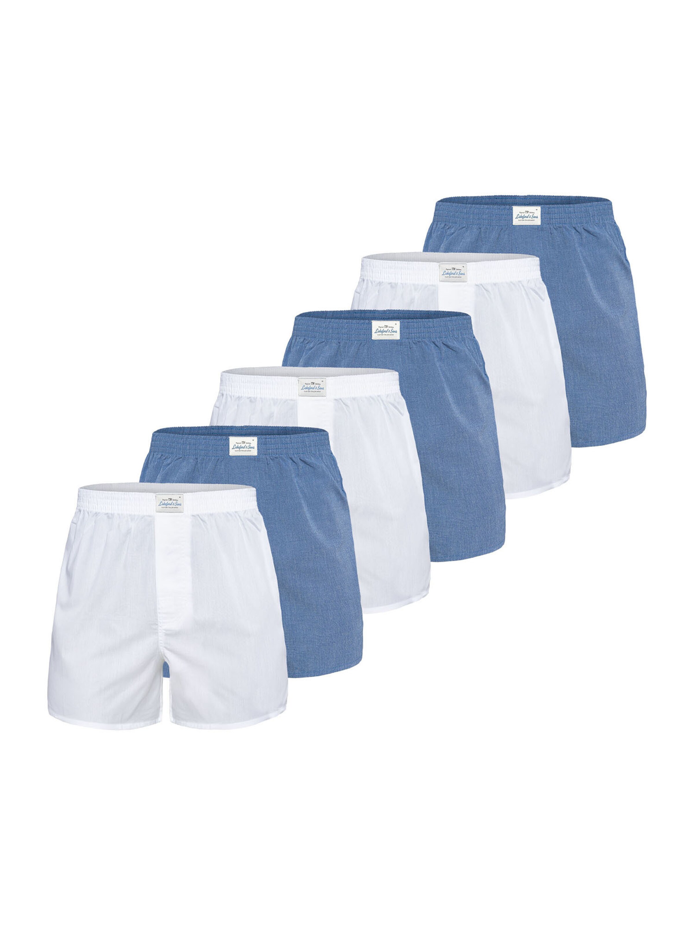 Lakeford & Sons Боксеры 'American Boxershorts Herren 6-Pack' в классических дизайнах, синий, белый
Lakeford & Sons Боксеры 'American Boxershorts Herren 6-Pack' в классических дизайнах, синий, белый