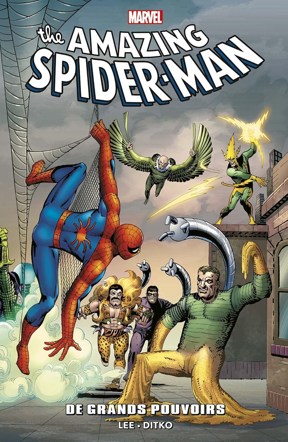 Amazing Spider-Man : À grands pouvoirs (PANINI)
Amazing Spider-Man : À grands pouvoirs (PANINI)
