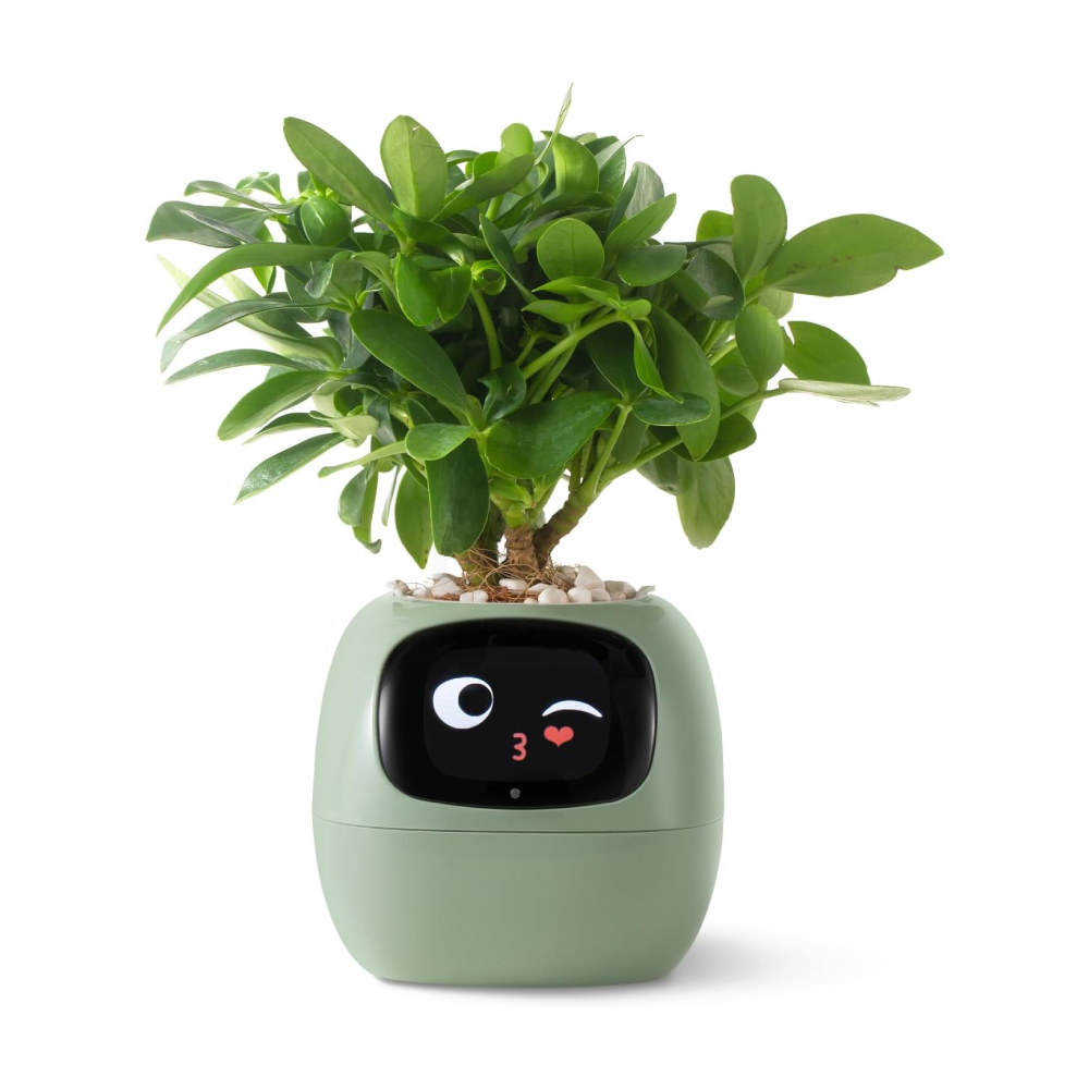 Умный горшок для домашних растений PlantsIO IVY, зеленый
Умный горшок для домашних растений PlantsIO IVY, зеленый