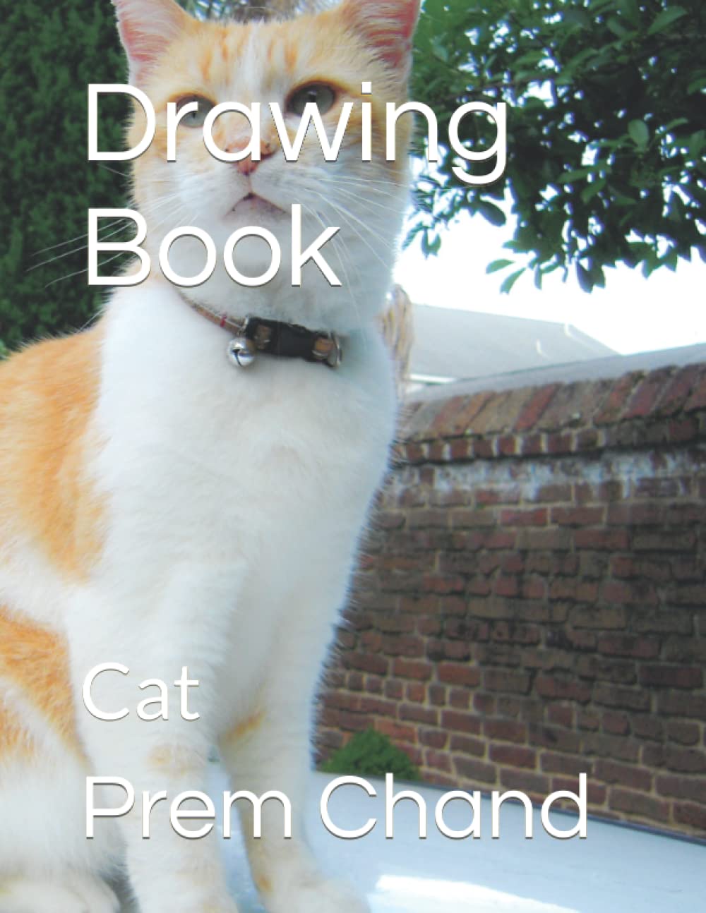 Drawing Book: Cat
Drawing Book: Cat