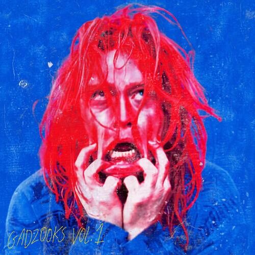Виниловая пластинка Landry Jones, Caleb - Gadzooks Vol. 1 (Red Vinyl)
Виниловая пластинка Landry Jones, Caleb - Gadzooks Vol. 1 (Red Vinyl)