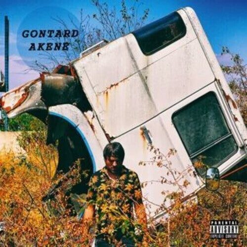 CD диск Gontard: Akene
CD диск Gontard: Akene