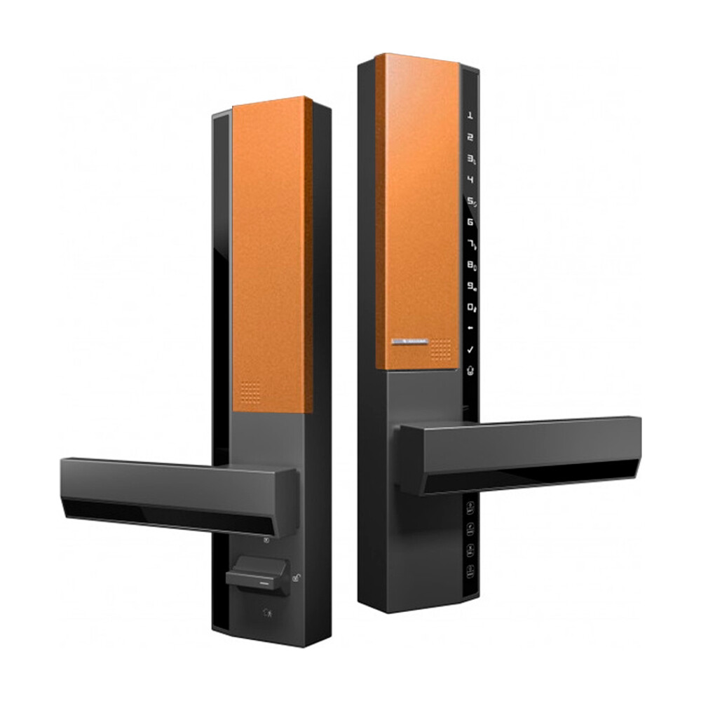 Электронный замок Securam V8 Finger Vein, биометрический, черный/желтый
Электронный замок Securam V8 Finger Vein, биометрический, черный/желтый