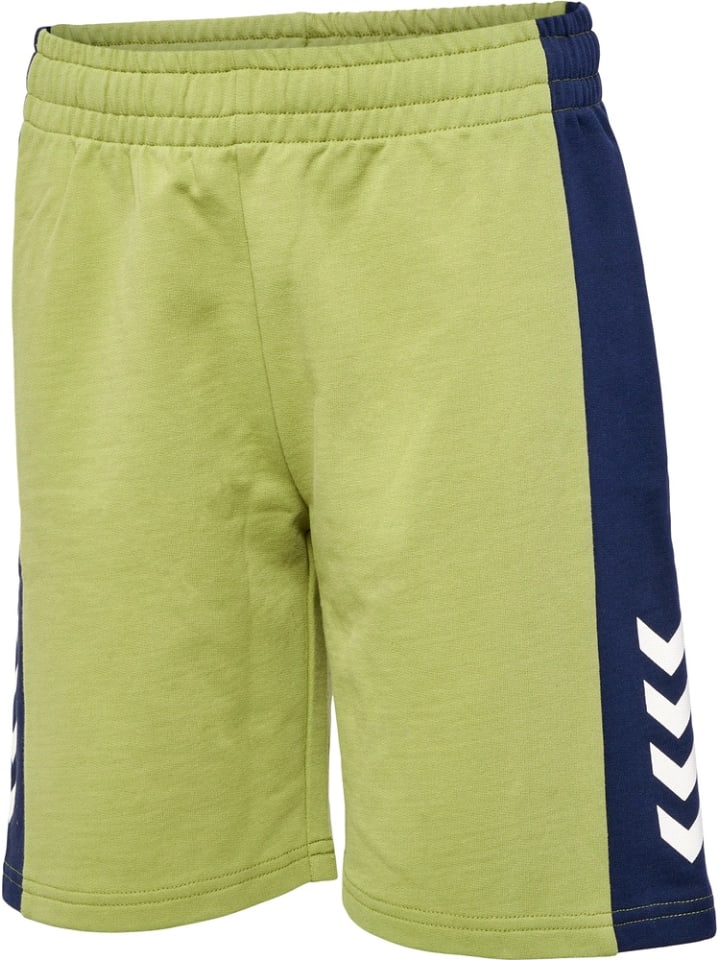 Hummel Детские шорты "Hmlrush Block Shorts" зеленого цвета
Hummel Детские шорты "Hmlrush Block Shorts" зеленого цвета