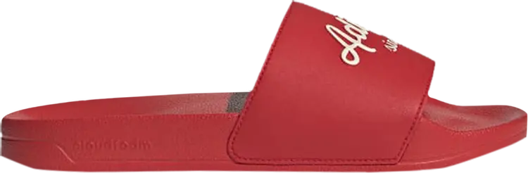 Сандалии Adidas Adilette Shower Slide, красный
Сандалии Adidas Adilette Shower Slide, красный