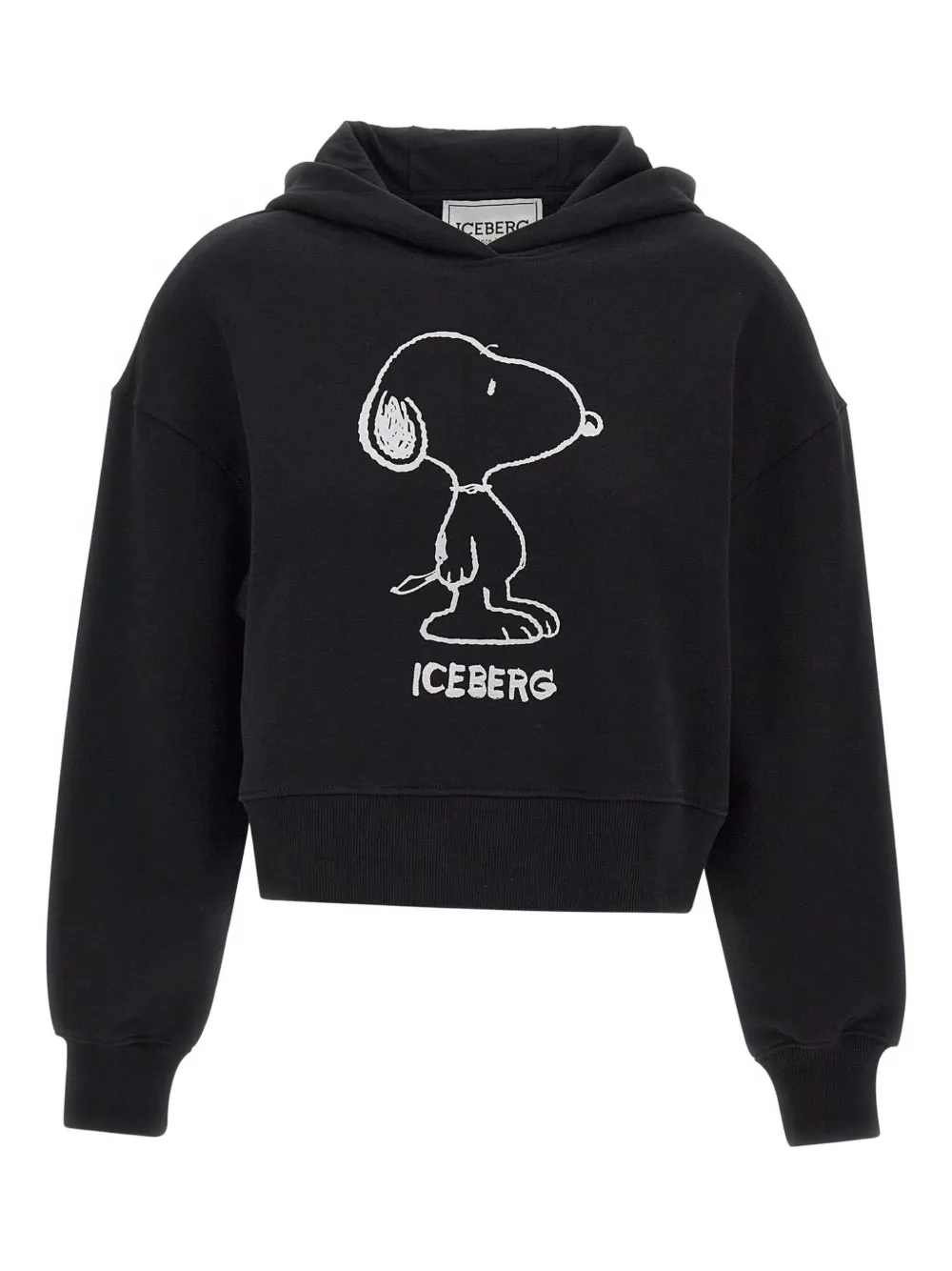 Толстовка с капюшоном и принтом Снупи Iceberg, черный
Толстовка с капюшоном и принтом Снупи Iceberg, черный