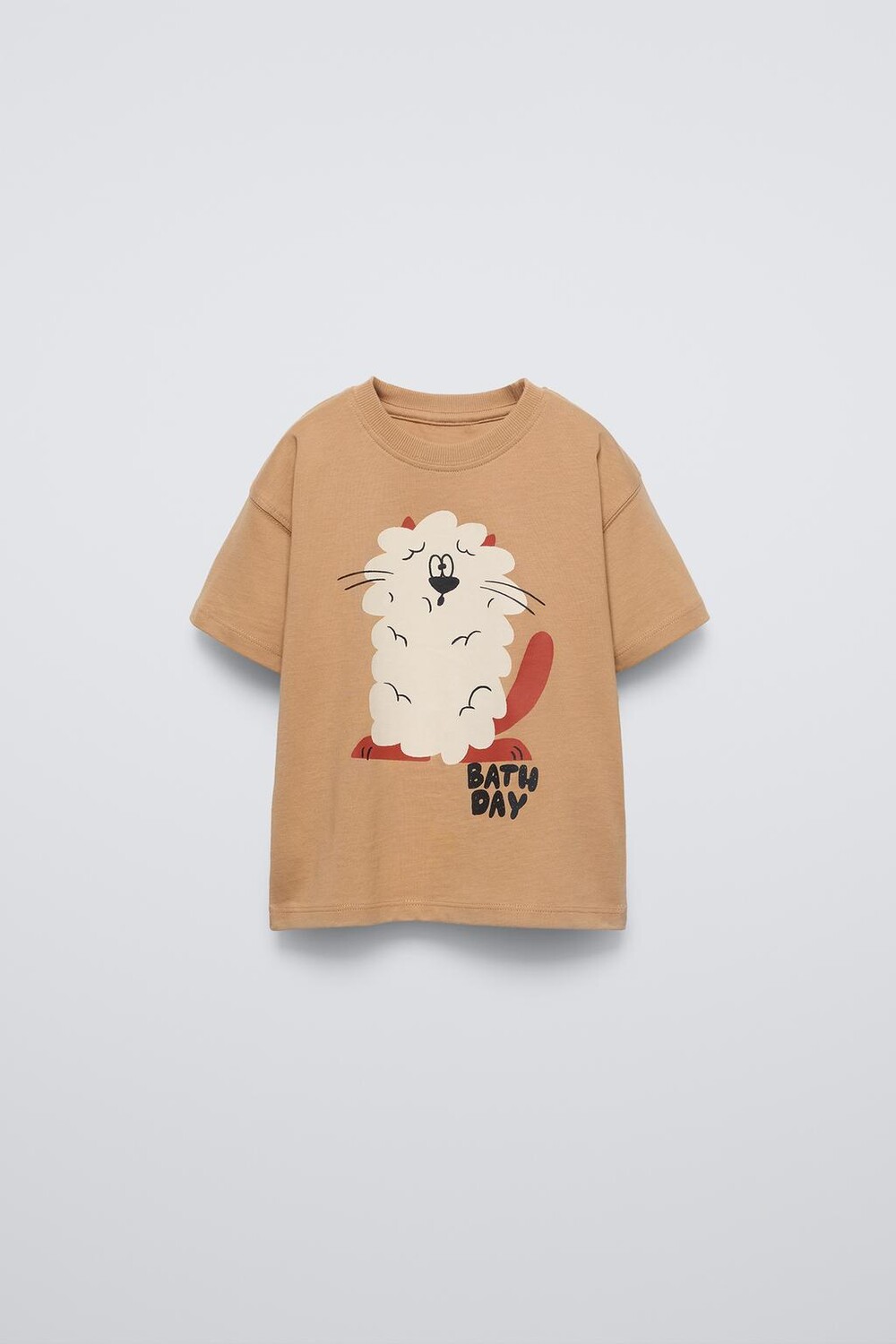 Футболка с принтом ZARA, светло-коричневый
Футболка с принтом ZARA, светло-коричневый