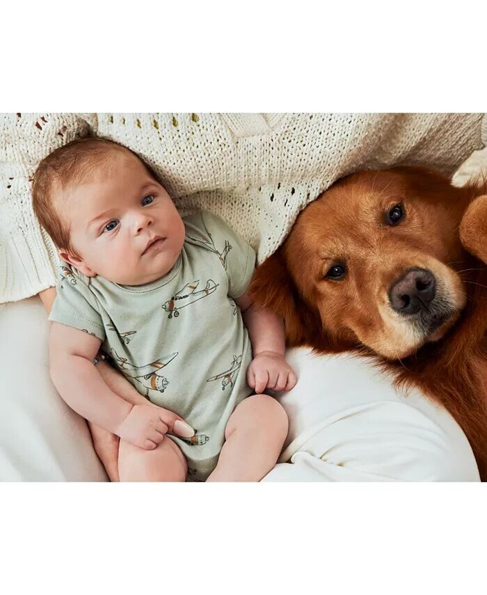 Мальчики и девочки, 5 шт. Комплект боди с короткими рукавами Carter'S, мультиколор
Мальчики и девочки, 5 шт. Комплект боди с короткими рукавами Carter'S, мультиколор