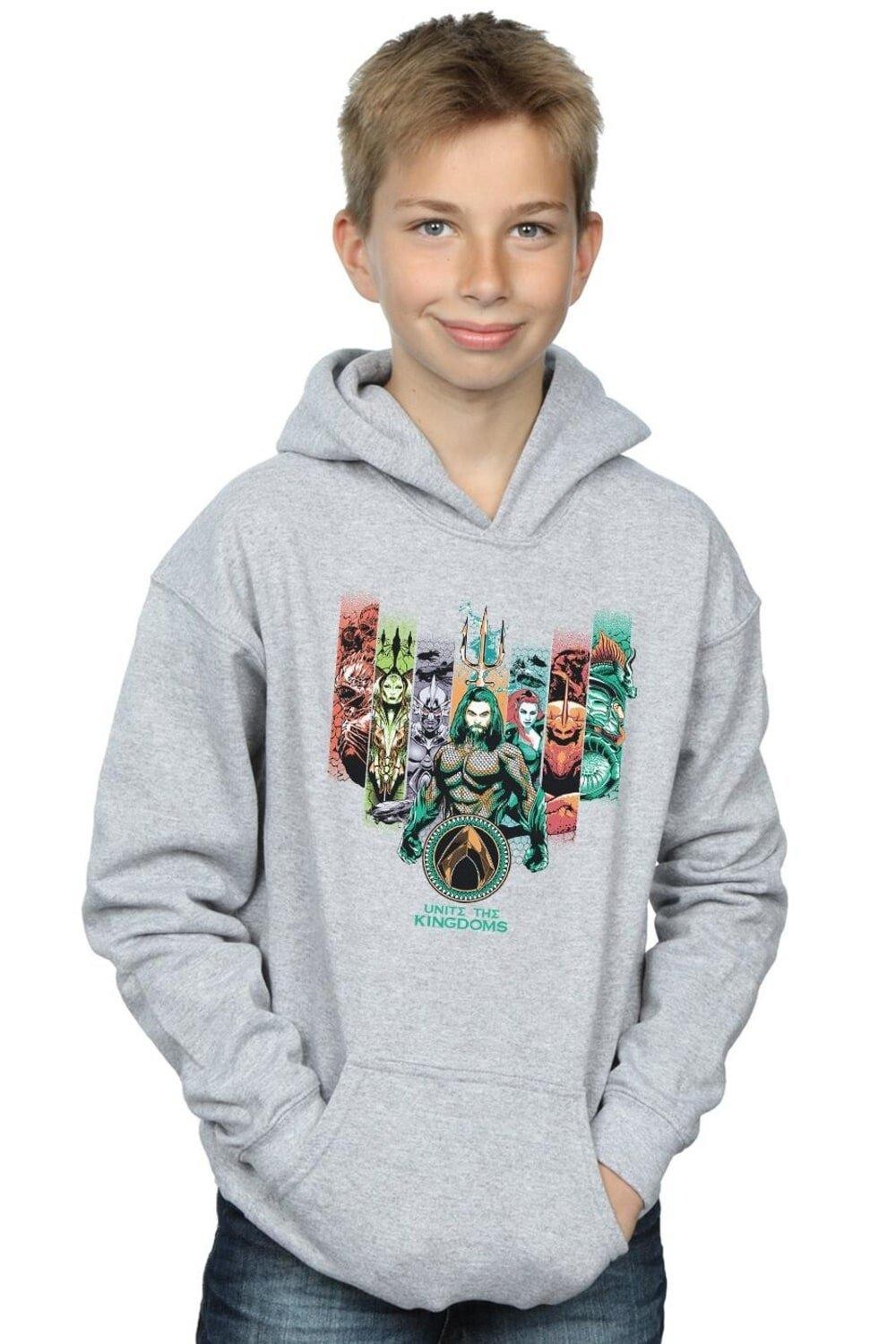 Толстовка Aquaman Unite The Kingdoms DC Comics, серый
Толстовка Aquaman Unite The Kingdoms DC Comics, серый