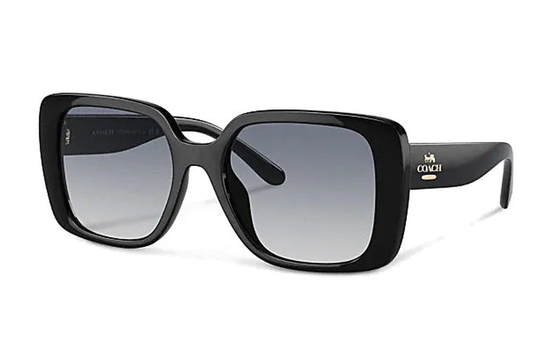 COACH Женские солнцезащитные очки
COACH Женские солнцезащитные очки