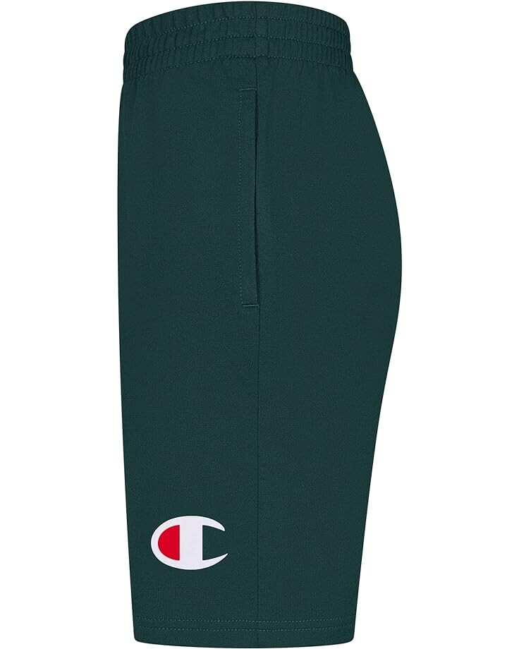 Шорты Champion French Terry Shorts, цвет Lakeside Green 
Шорты Champion French Terry Shorts, цвет Lakeside Green