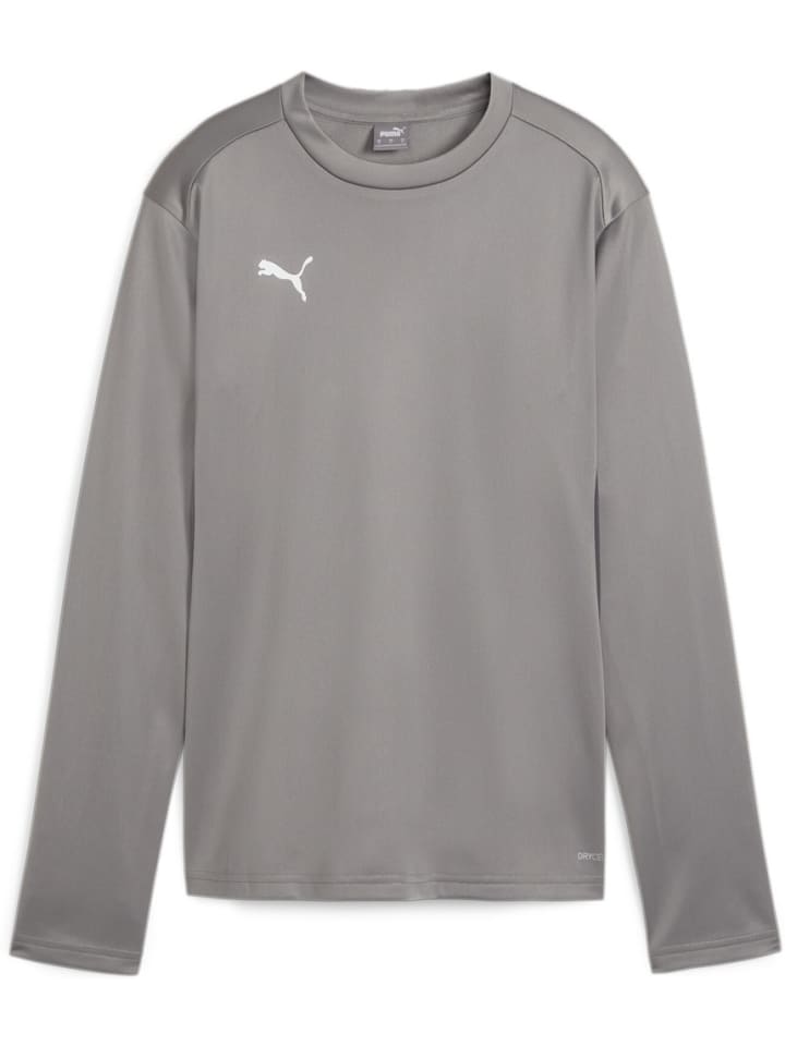 Свитер TeamGoal Training Sweat Wmn серого цвета Puma
Свитер TeamGoal Training Sweat Wmn серого цвета Puma