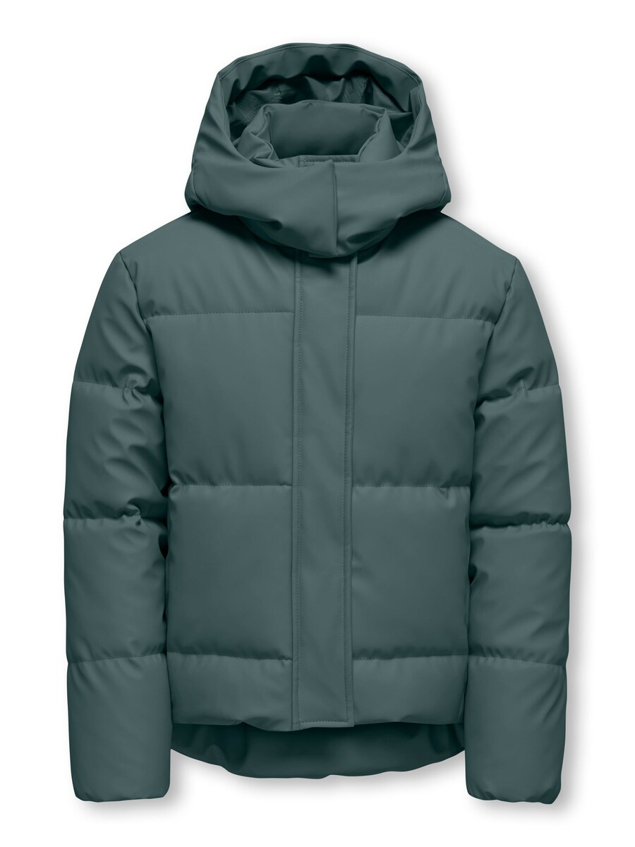 Зимняя куртка ONLY GIRLS, зеленый
Зимняя куртка ONLY GIRLS, зеленый