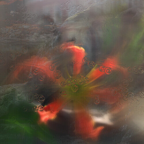 Виниловая пластинка Upsammy: Germ in a Population of Buildings
Виниловая пластинка Upsammy: Germ in a Population of Buildings