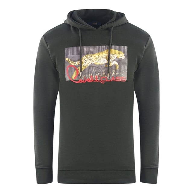 Толстовка с леопардовым принтом Cavalli class Cavalli Class, черный
Толстовка с леопардовым принтом Cavalli class Cavalli Class, черный