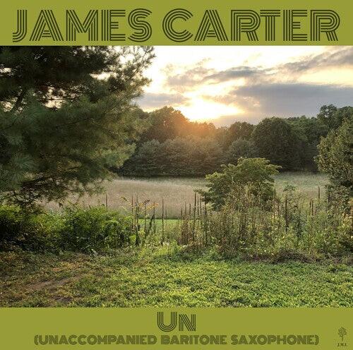 Виниловая пластинка Carter, James: Un (Unaccompanied Baritone Saxophone)
Виниловая пластинка Carter, James: Un (Unaccompanied Baritone Saxophone)