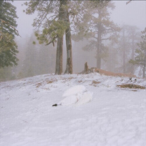 CD диск WISP: Pandora 
CD диск WISP: Pandora