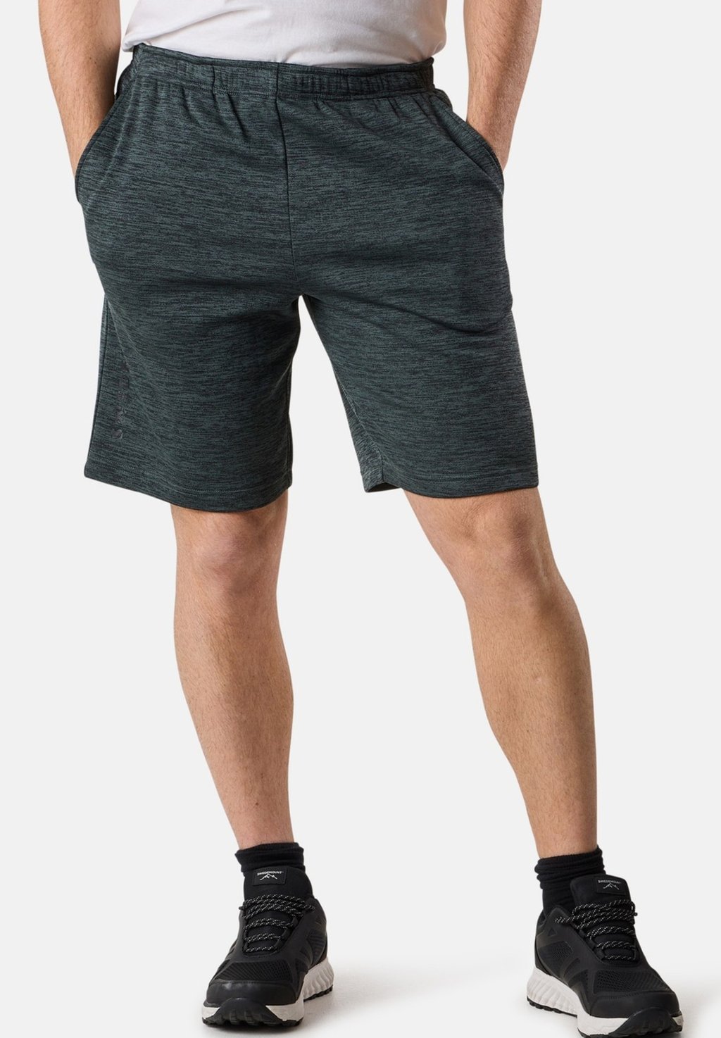 Спортивные шорты TRAINING LOGO Swedemount, зеленый
Спортивные шорты TRAINING LOGO Swedemount, зеленый