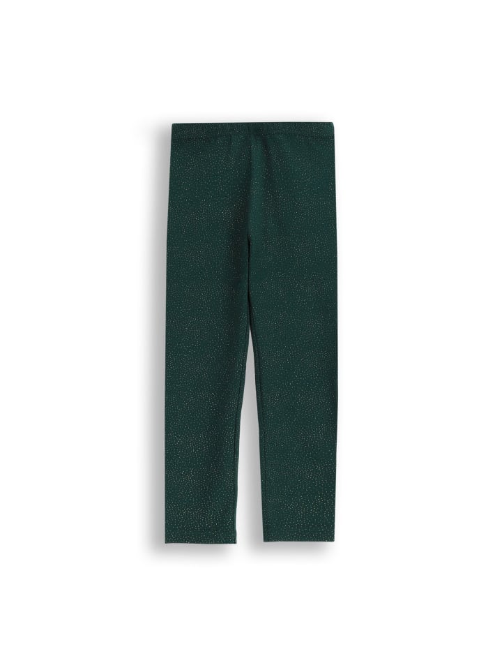 Леггинсы с длинными штанинами, рождественские, зеленого цвета Coccodrillo
Леггинсы с длинными штанинами, рождественские, зеленого цвета Coccodrillo