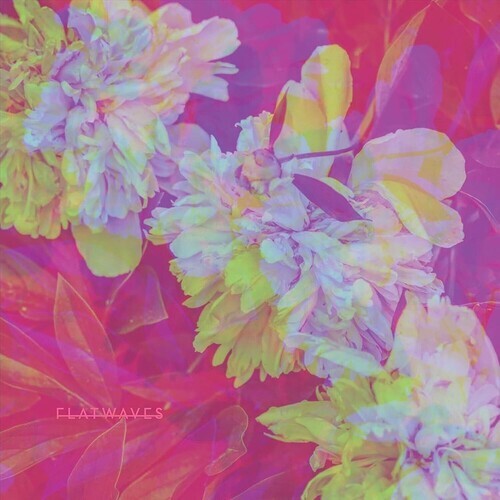 Виниловая пластинка Flatwaves: Numbra 
Виниловая пластинка Flatwaves: Numbra