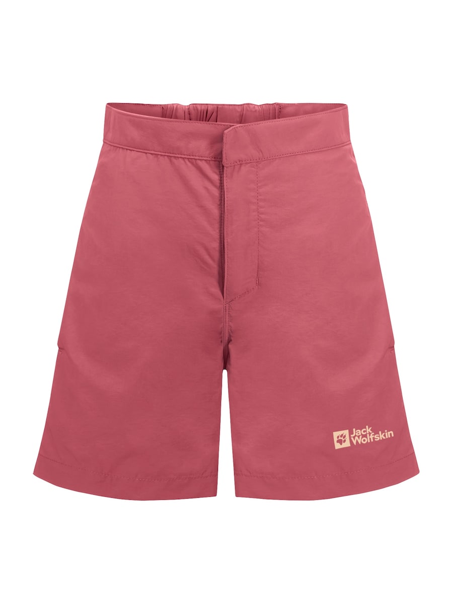 Обычные брюки для активного отдыха JACK WOLFSKIN SUN, Magenta
Обычные брюки для активного отдыха JACK WOLFSKIN SUN, Magenta