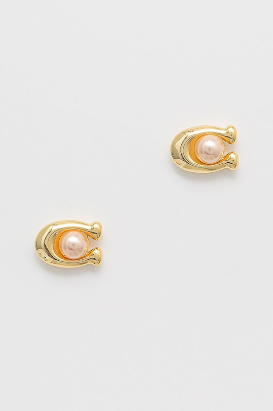 Серьги Coach, золотой
Серьги Coach, золотой
