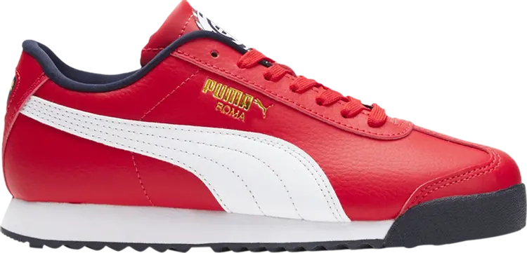 Кроссовки Puma Roma Big Kid Country Pack - USA, красный
Кроссовки Puma Roma Big Kid Country Pack - USA, красный