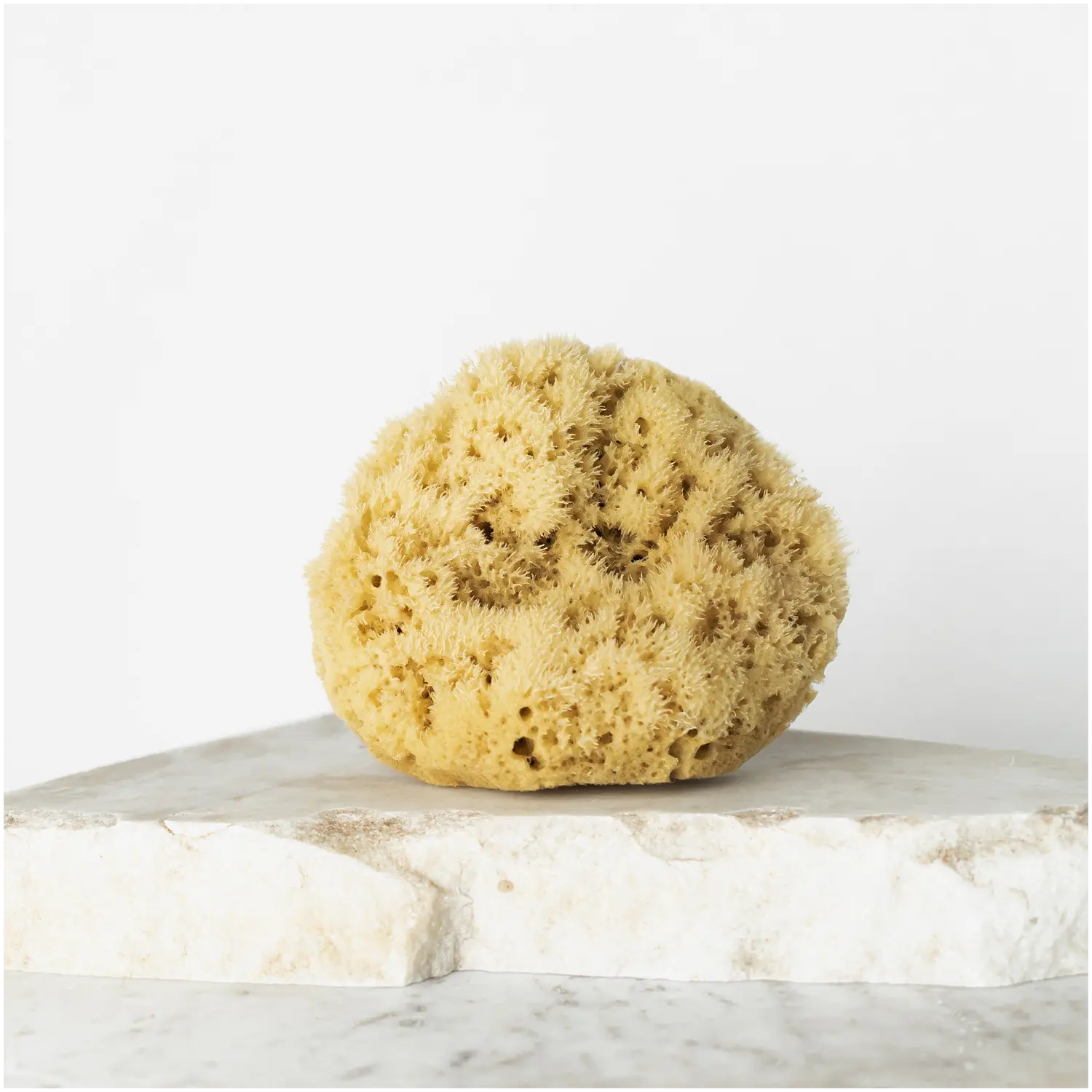 Hhuumm натуральная губка для ванн 12,5 см, 1 шт. 
Hhuumm натуральная губка для ванн 12,5 см, 1 шт.