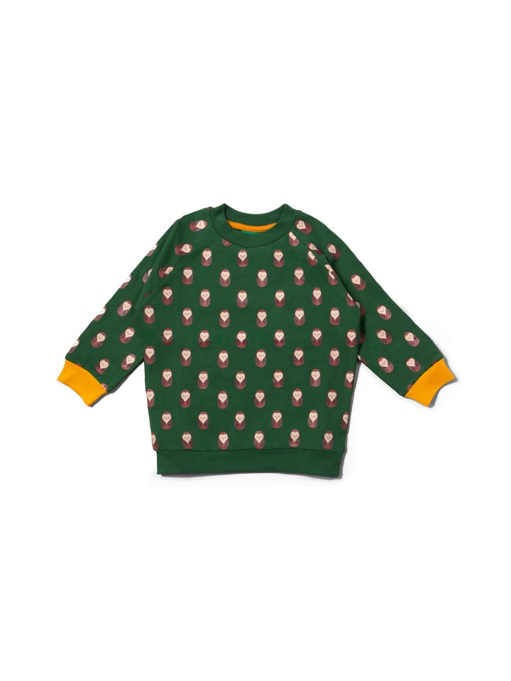 Свитер Little Green Radicals, зеленый
Свитер Little Green Radicals, зеленый