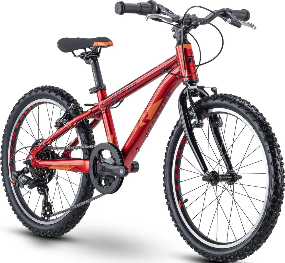 Горный велосипед Raymon TwoRay 1.0 - 20 дюймов - Diamant - 2024, красный/оранжевый
Горный велосипед Raymon TwoRay 1.0 - 20 дюймов - Diamant - 2024, красный/оранжевый