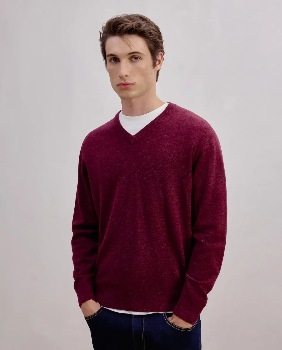 Мужской свитер с V-образным вырезом Dustin, бордовый
Мужской свитер с V-образным вырезом Dustin, бордовый