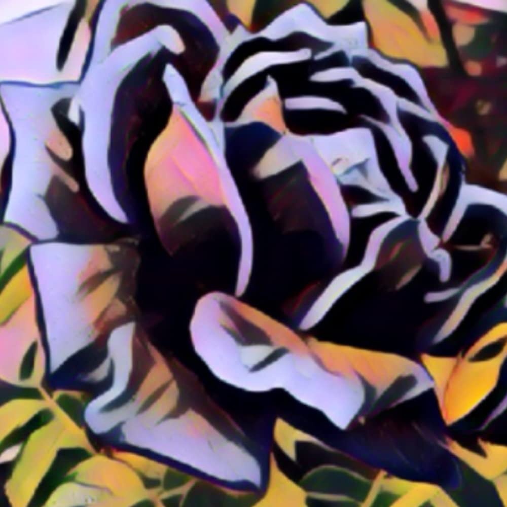 Rose (Blank and Lined Journal 8.5 x 8.5) (Independently published)
Rose (Blank and Lined Journal 8.5 x 8.5) (Independently published)