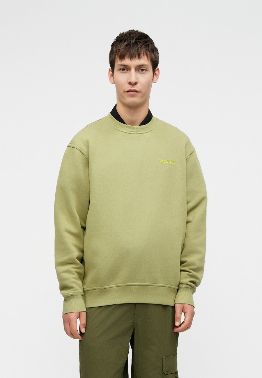 Толстовка Dickies PLENTYWOOD , Green, Зеленый, Толстовка Dickies PLENTYWOOD , Green
Толстовка Dickies PLENTYWOOD , Green, Зеленый, Толстовка Dickies PLENTYWOOD , Green