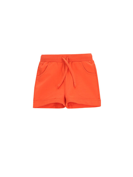 Спортивные шорты обычного кроя WC5120401VGC Coccodrillo, оранжевый
Спортивные шорты обычного кроя WC5120401VGC Coccodrillo, оранжевый