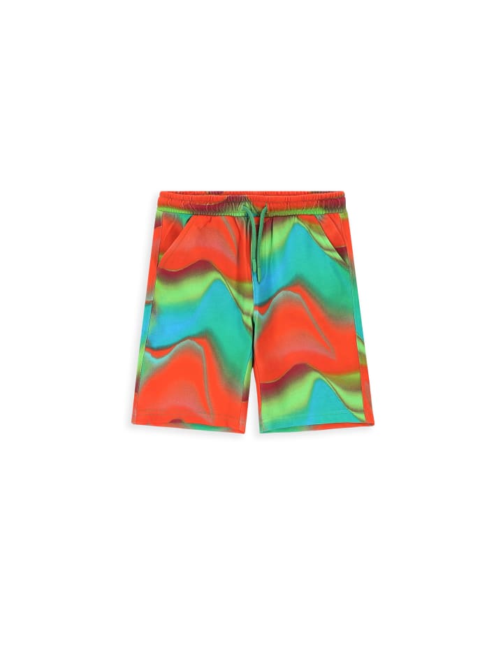 Шорты Coccodrillo, красочный
Шорты Coccodrillo, красочный