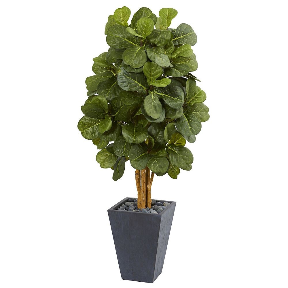 почти естественный 5,5 футов. Искусственное дерево Fiddle Leaf в шиферном горшке Nearly Natural, зеленый
почти естественный 5,5 футов. Искусственное дерево Fiddle Leaf в шиферном горшке Nearly Natural, зеленый