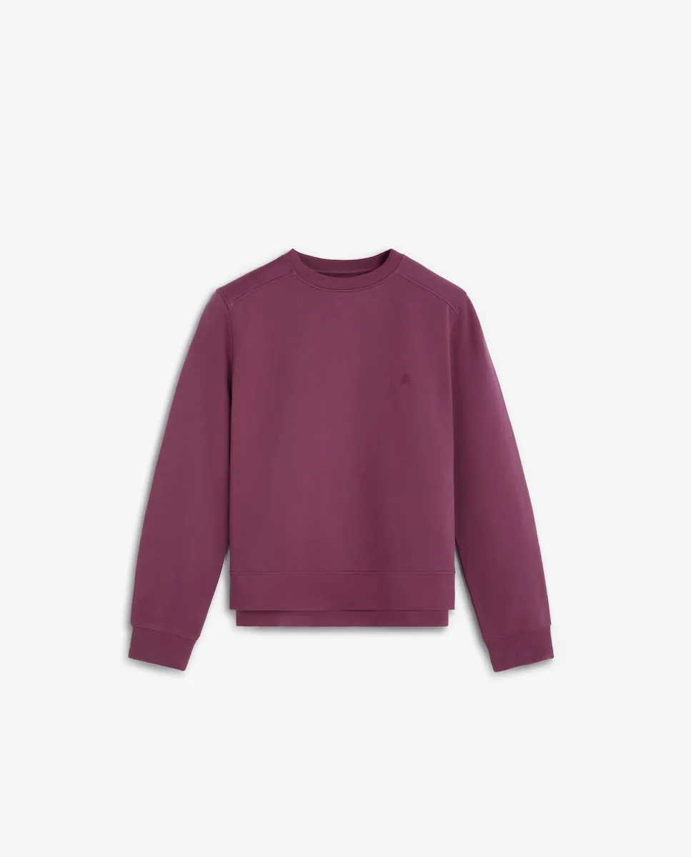 Женская толстовка 100% хлопок с круглым вырезом Scalpers, фиолетовый
Женская толстовка 100% хлопок с круглым вырезом Scalpers, фиолетовый