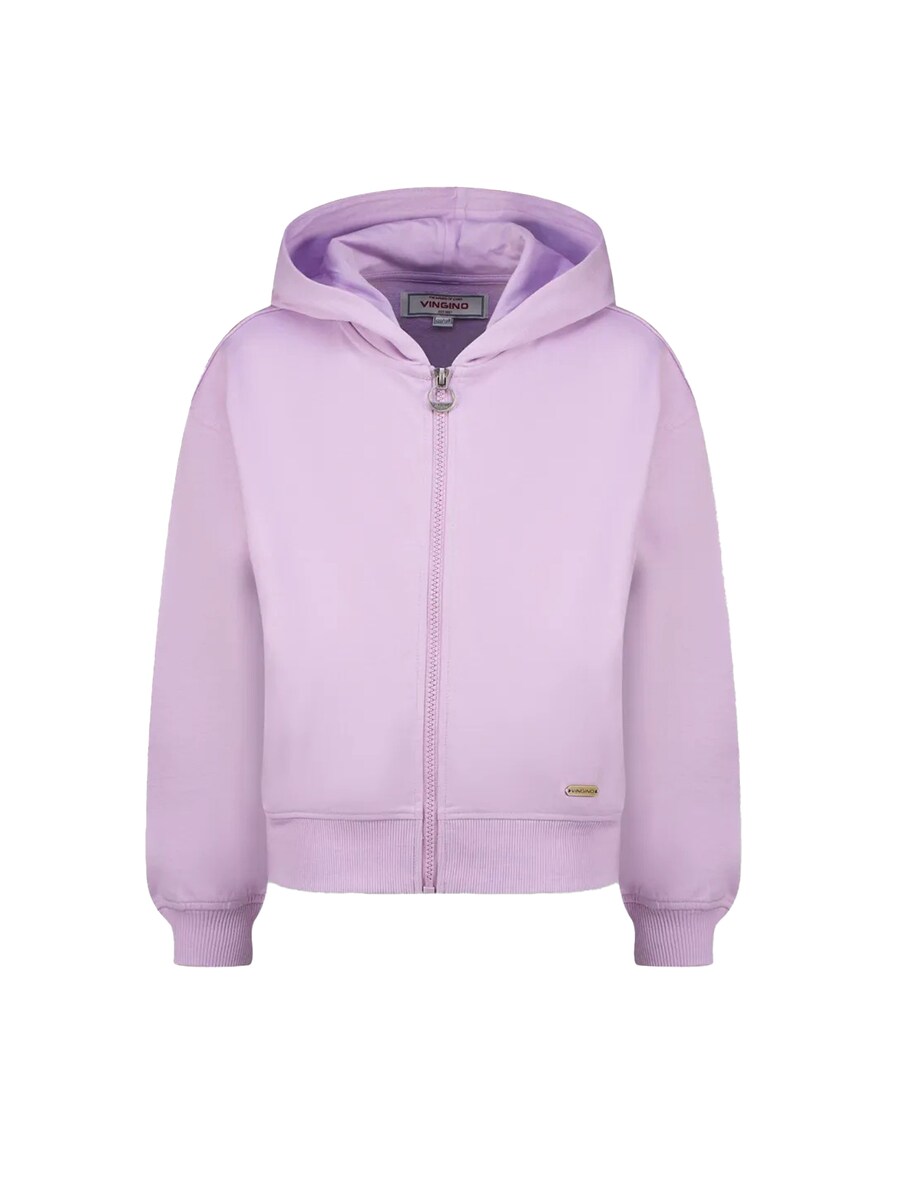 Толстовка с капюшоном на молнии VINGINO Myra, фиолетовый
Толстовка с капюшоном на молнии VINGINO Myra, фиолетовый