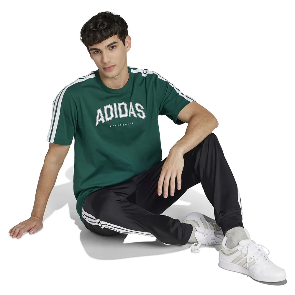 Футболка с коротким рукавом adidas Codes Collegiate Linear Graphic, зеленый
Футболка с коротким рукавом adidas Codes Collegiate Linear Graphic, зеленый