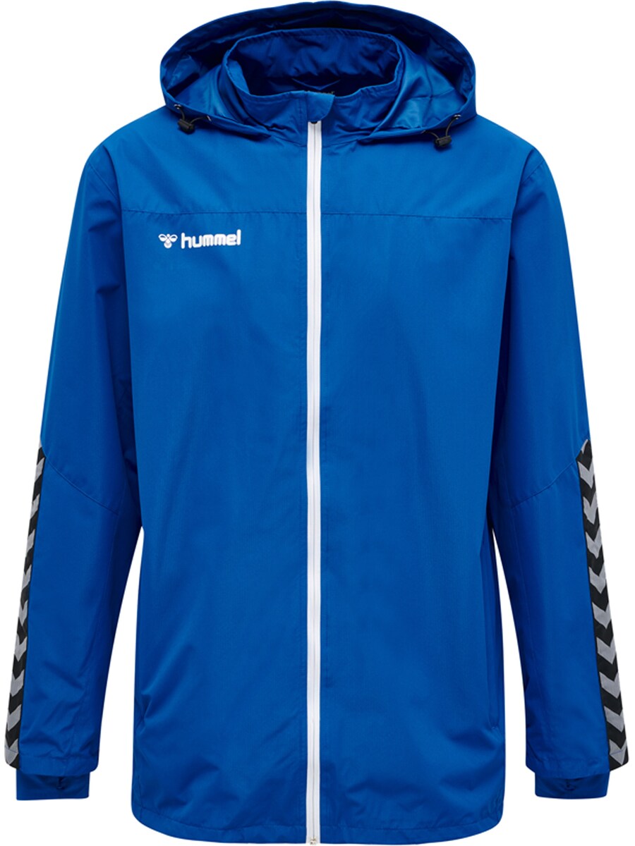 Спортивная куртка Hummel Authentic, королевский синий
Спортивная куртка Hummel Authentic, королевский синий