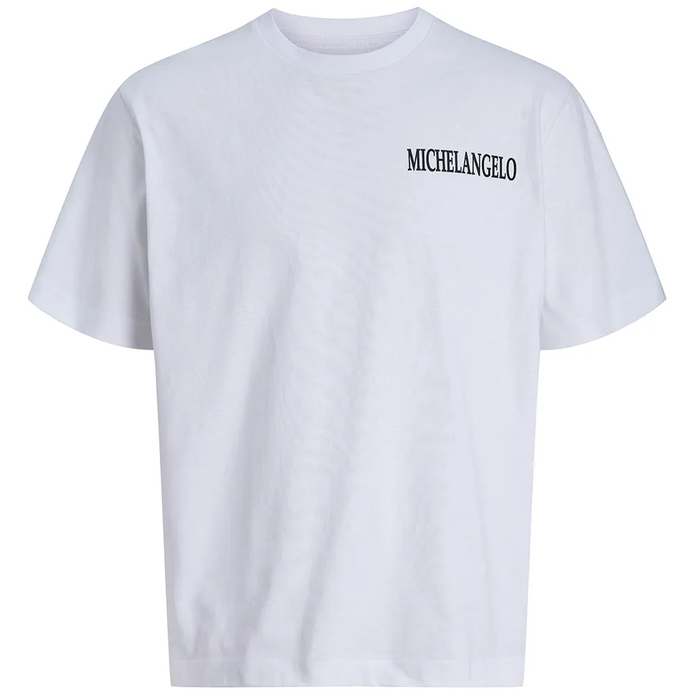 Футболка с коротким рукавом Jack & Jones Apoh, белый
Футболка с коротким рукавом Jack & Jones Apoh, белый