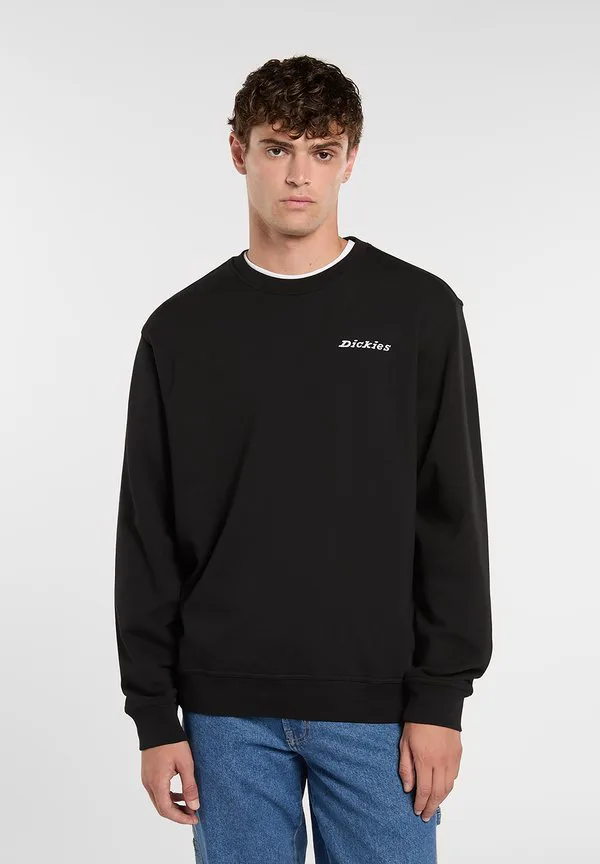 Толстовка loretto Dickies, Black, Черный, Толстовка loretto Dickies, Black
Толстовка loretto Dickies, Black, Черный, Толстовка loretto Dickies, Black